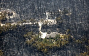 A house sits undamaged in the aftermath of the Black Forest Fire in Black Forest, Colorado