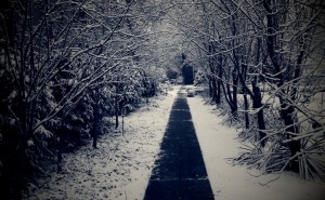 Beat out the competition by buying your home in Columbus during the colder months.