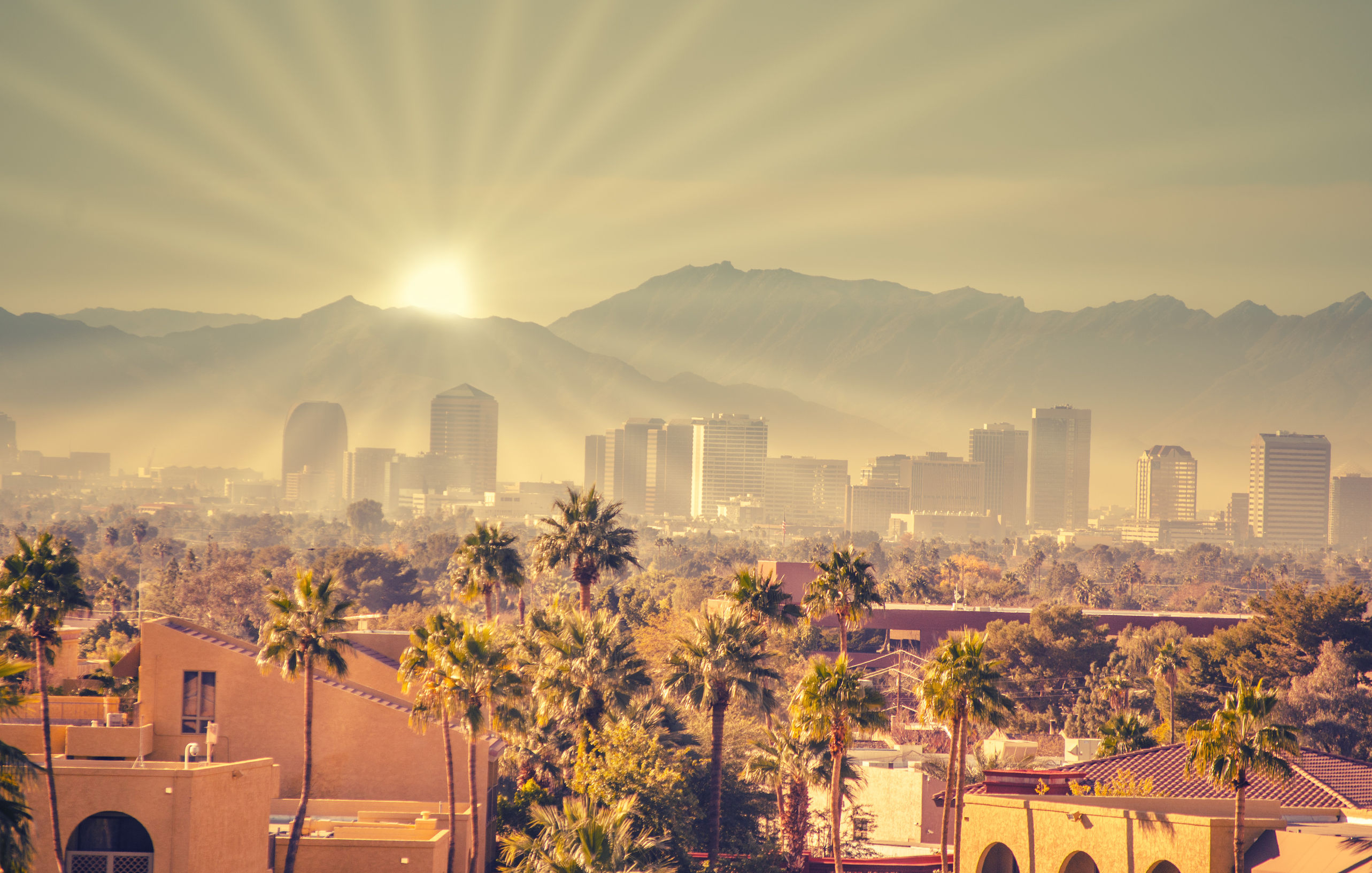 Discover Phoenix: 5 Unforgettable Local Experiences for Tourists