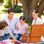 how to celebrate national picnic month