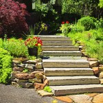 best tips for landscaping your yard this summer
