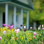tips for buying a home in a rural area